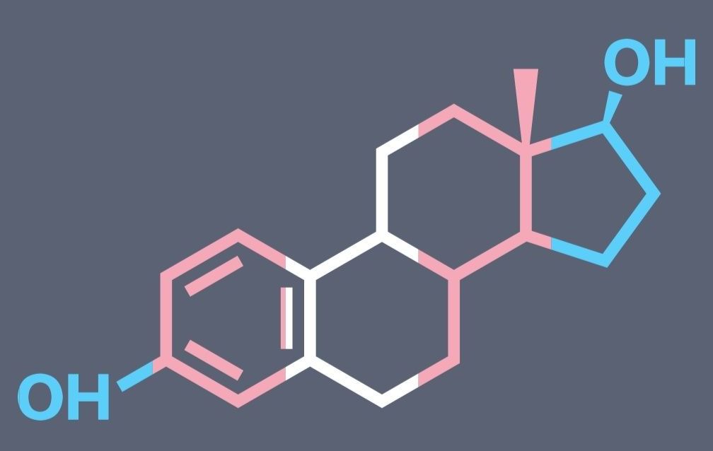 The role of estrogen in the body of women (and men)