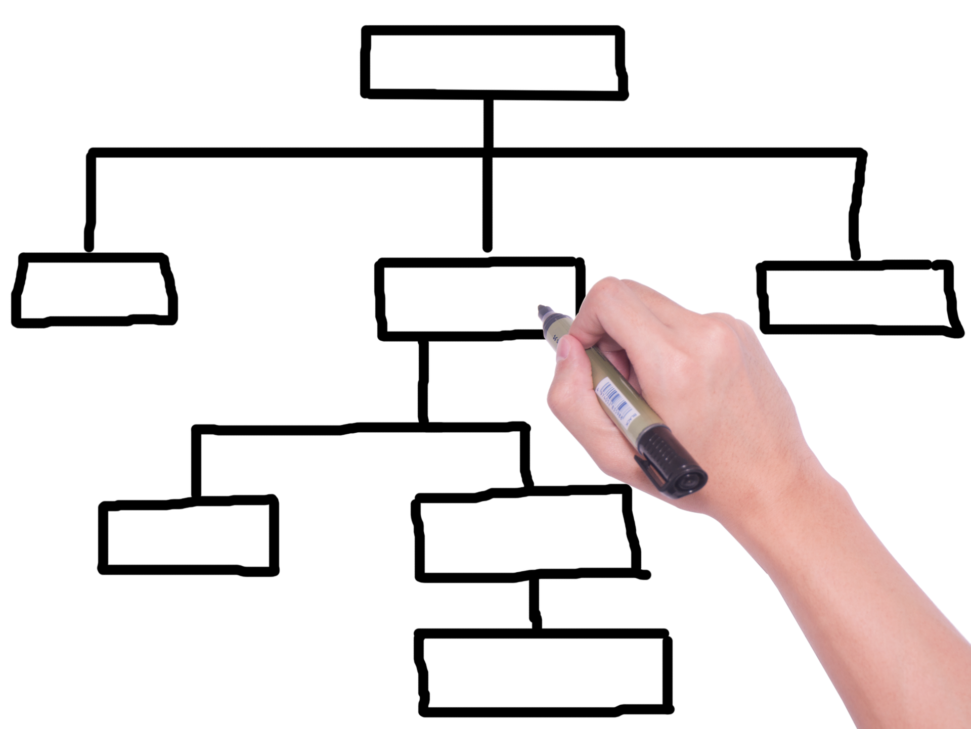 How heavy metals from the environment and the food chain influence us humans