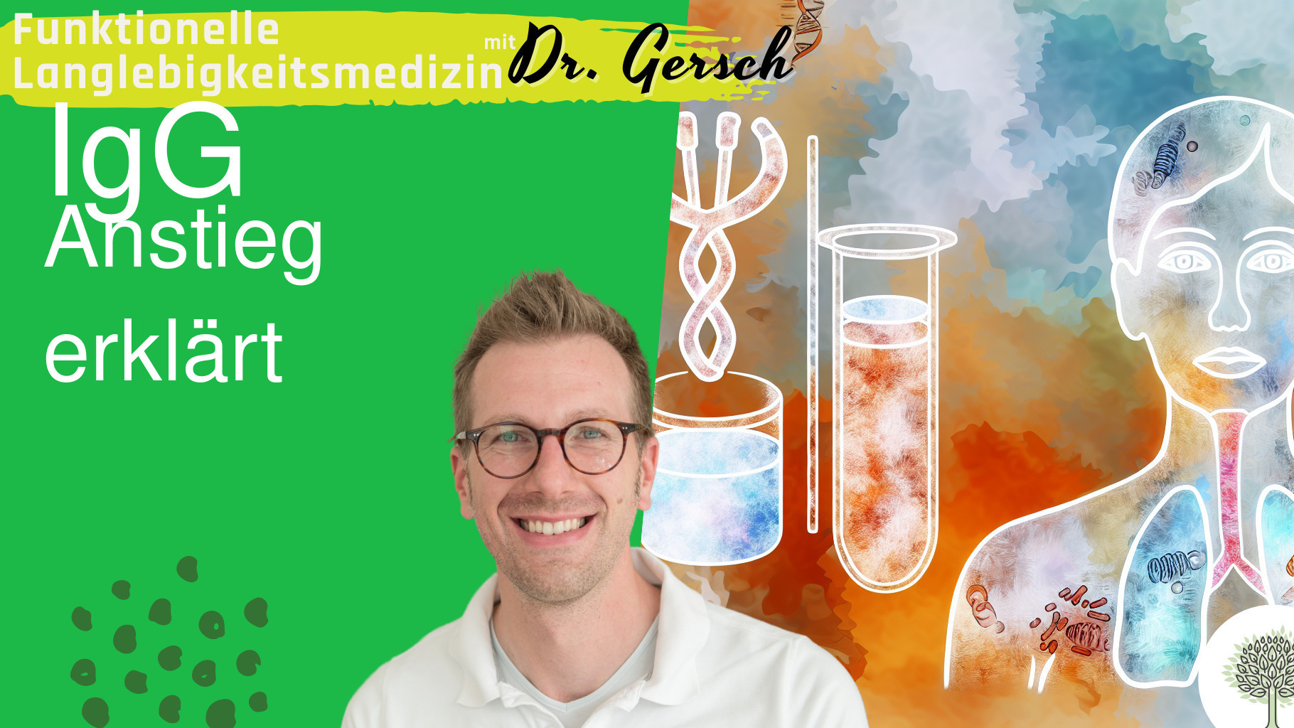 Anstieg von IgG-Antik&ouml;rpern und Ihre Ursachen