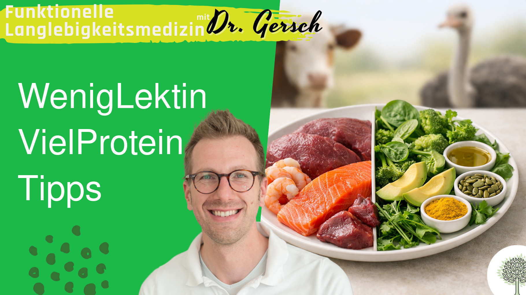Lektinfreie und proteinreiche Ern&auml;hrung: Was Fleisch und Fisch bei Entz&uuml;ndungen unterscheidet