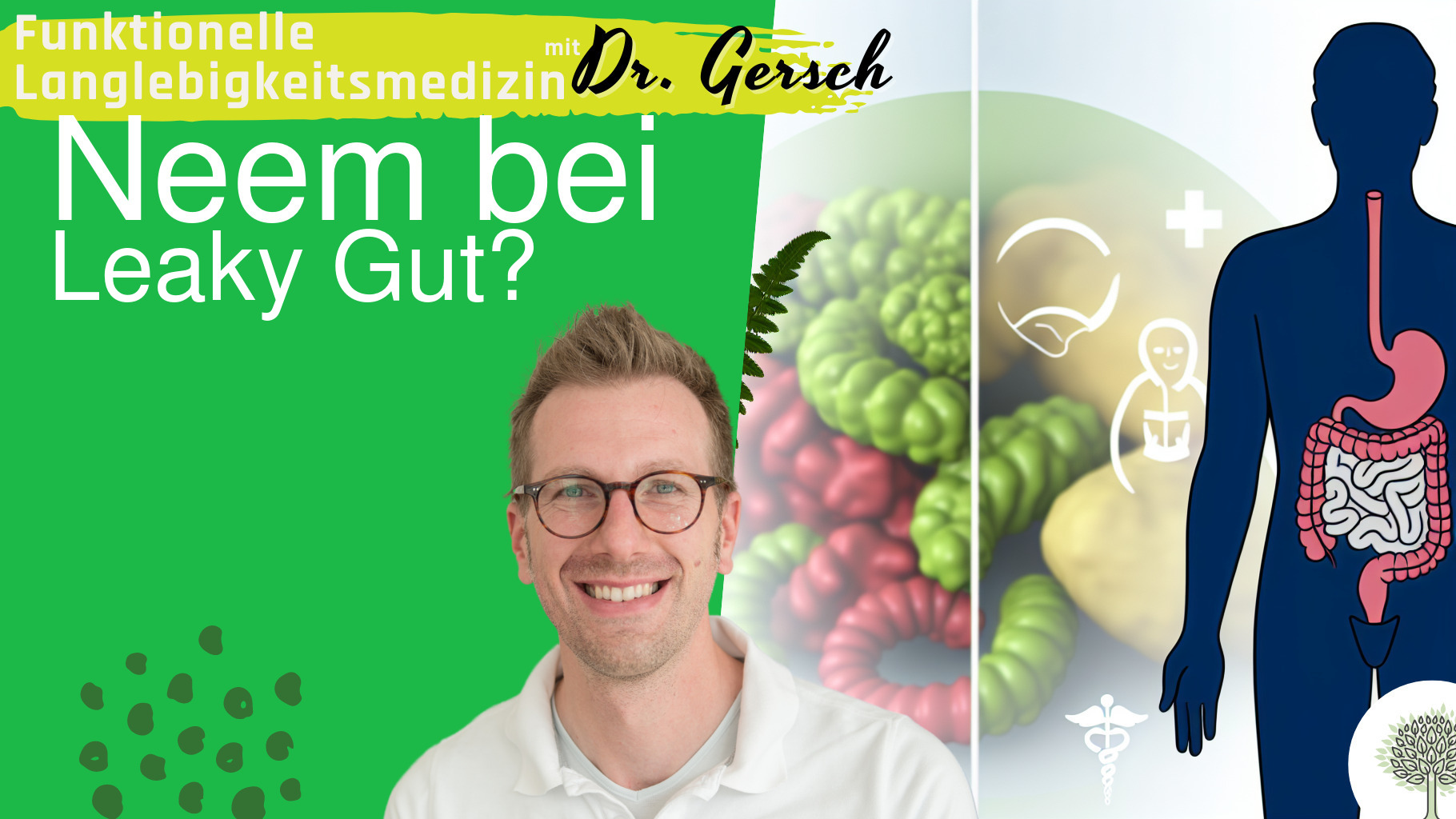  Ist Neem gut bei einem Leaky-Gut-Syndrom? 