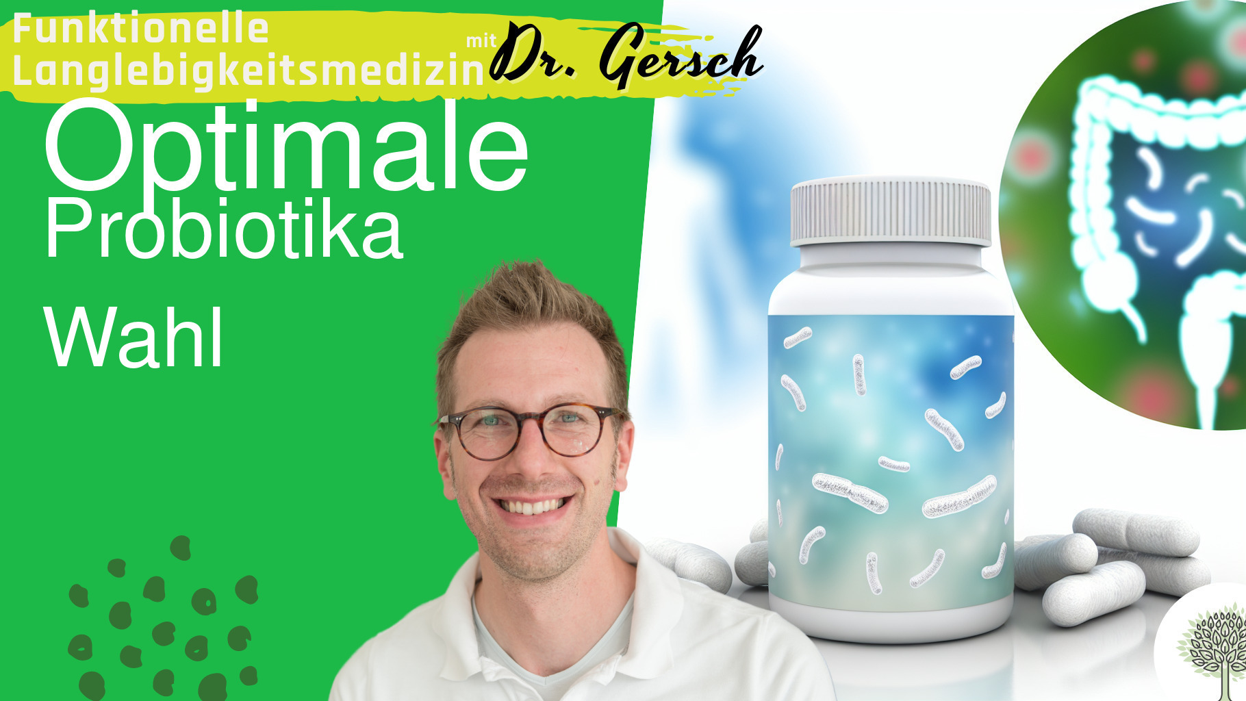 Lactobacillus gasseri