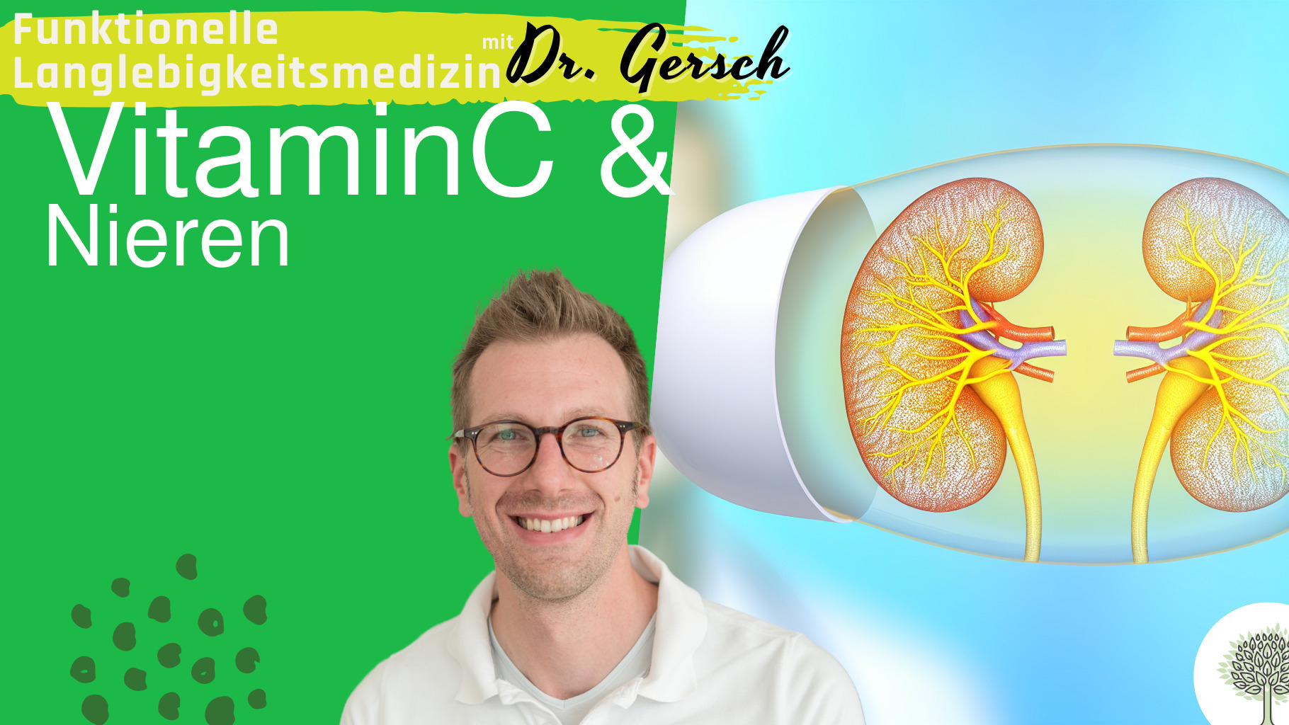 Vitamin C und das Risiko f&uuml;r Nierensch&auml;den