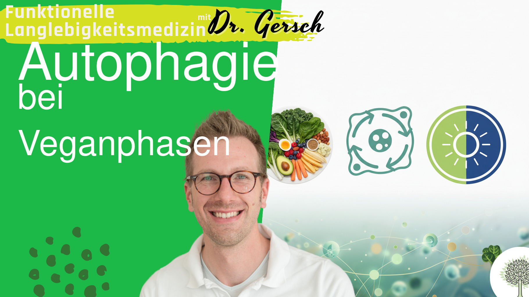 Autophagiem&ouml;glichkeit durch vegane Intervalle.