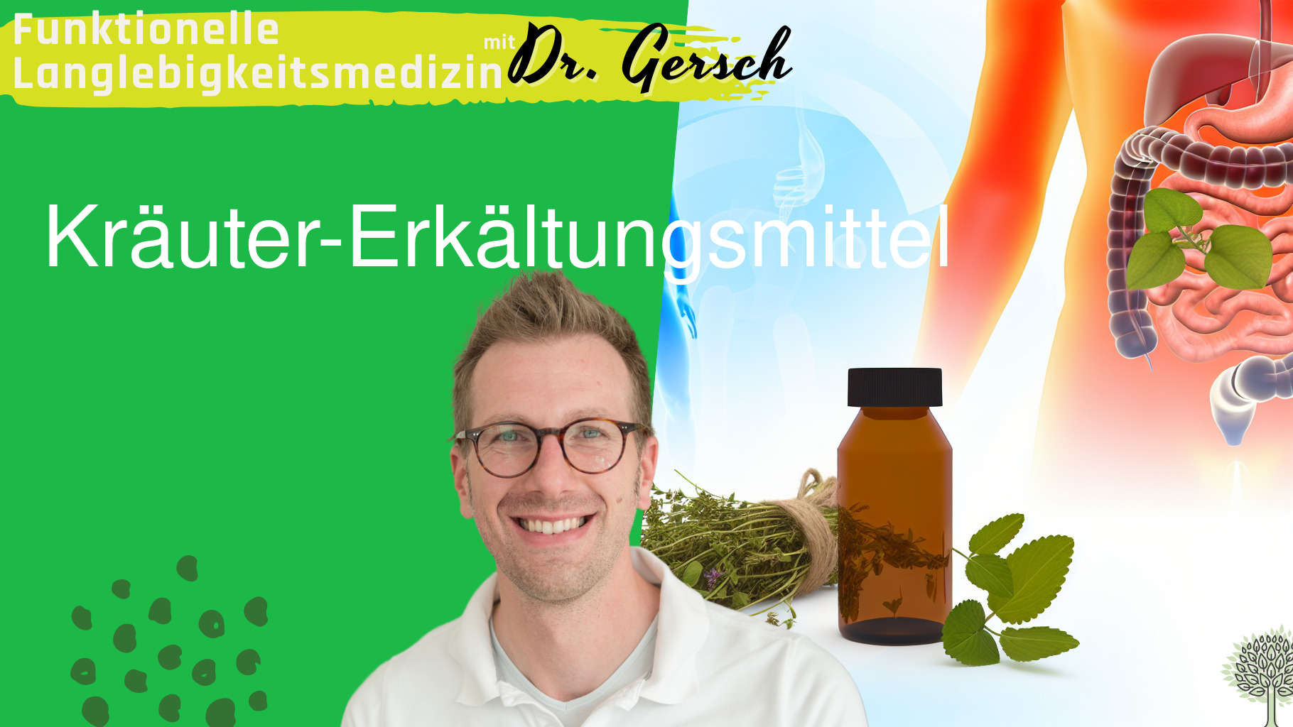 Bewertung pflanzliches Arzneimittel 