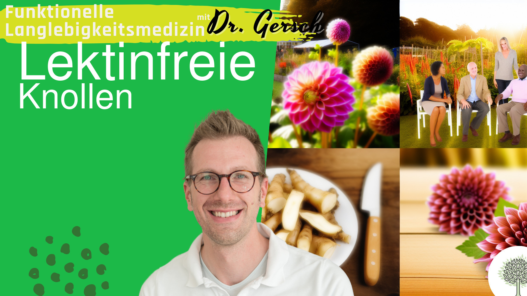 Dahlienknollen lektinfrei. 