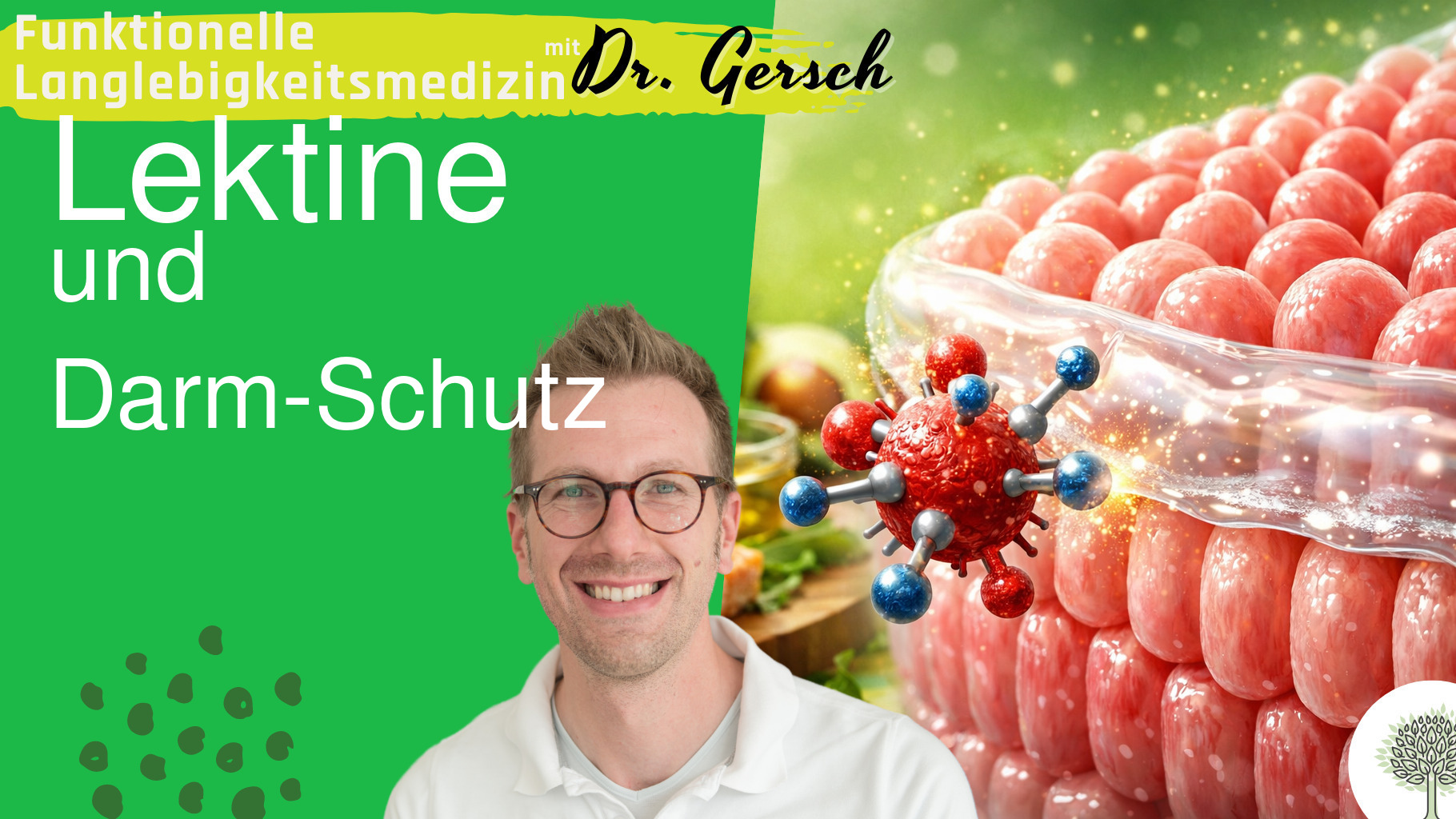 Darmschleimhaut und Lektine