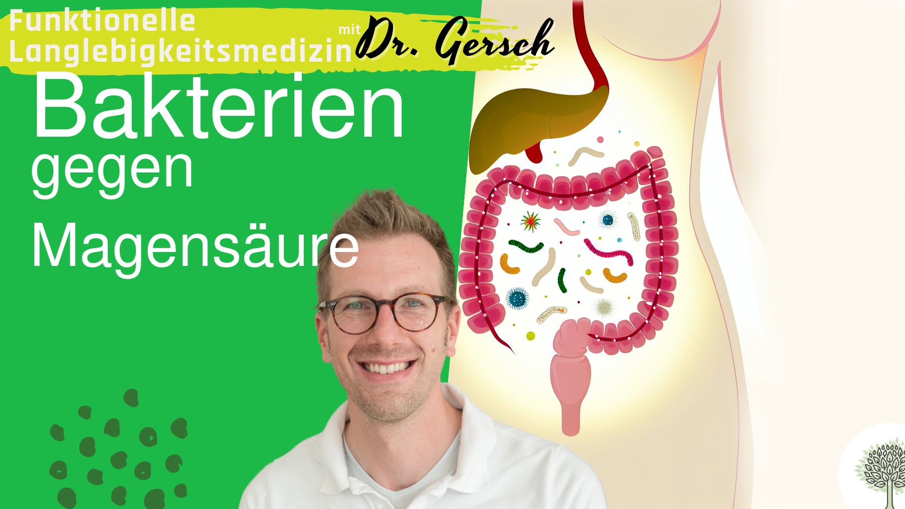 Welche Bakterien &uuml;berstehen die Magens&auml;ure?