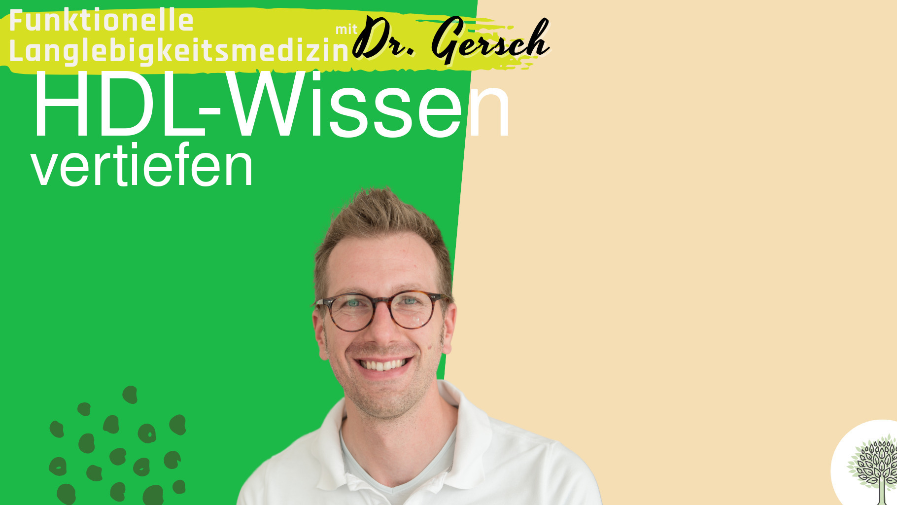 HDL-Cholesterin-Masterclass