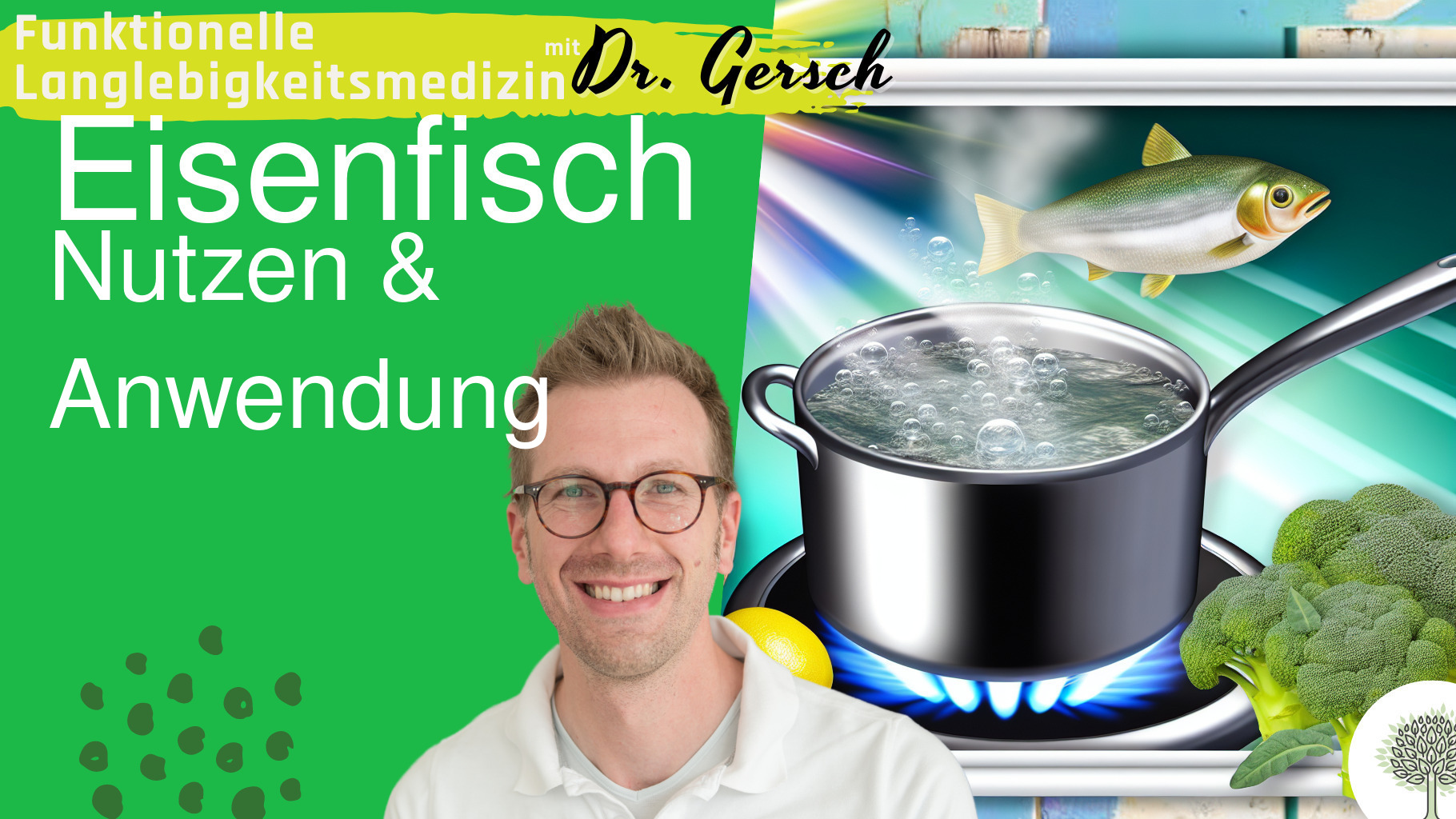 Eisenaufnahme durch die Anwendung eines Eisenfischs