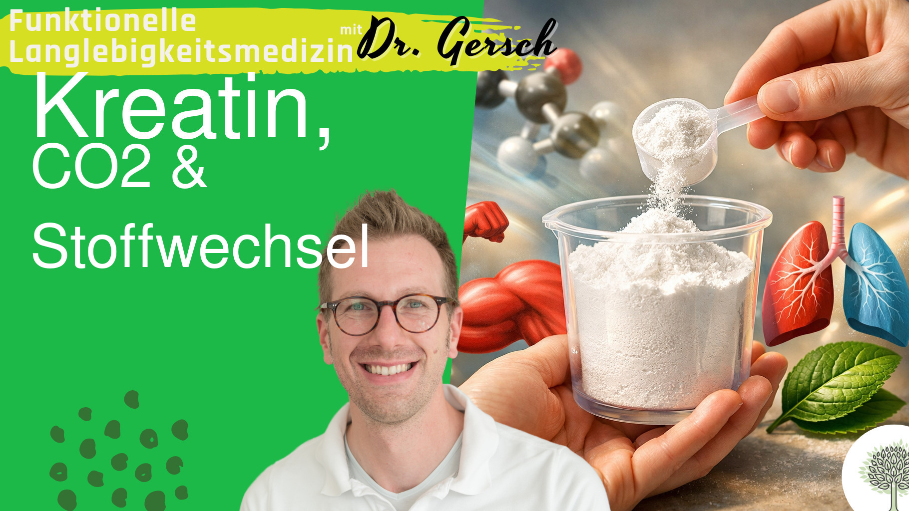 Kreatin-Pulver Auswirkungen auf CO2 und den Stoffwechsel.