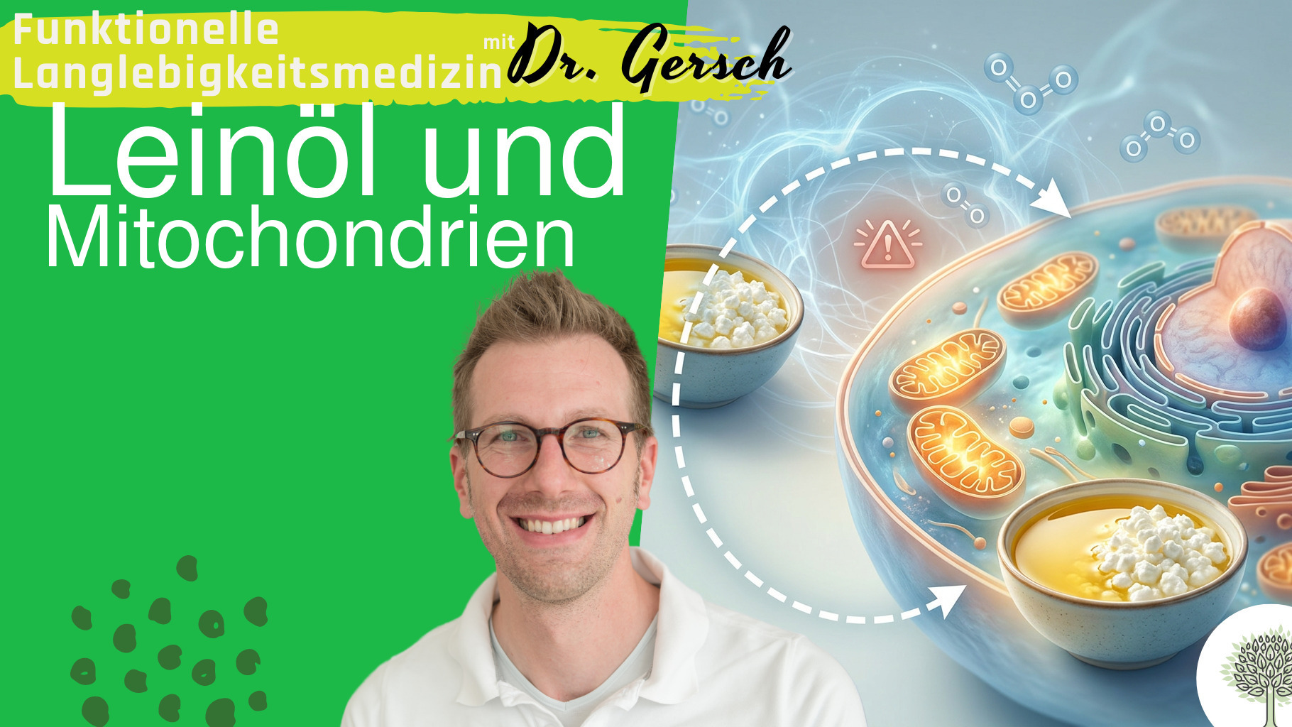 Lektinfreie Ern&auml;hrung, um die Zellatmung und damit die Energie der Mitochondrien zu verbessern.
