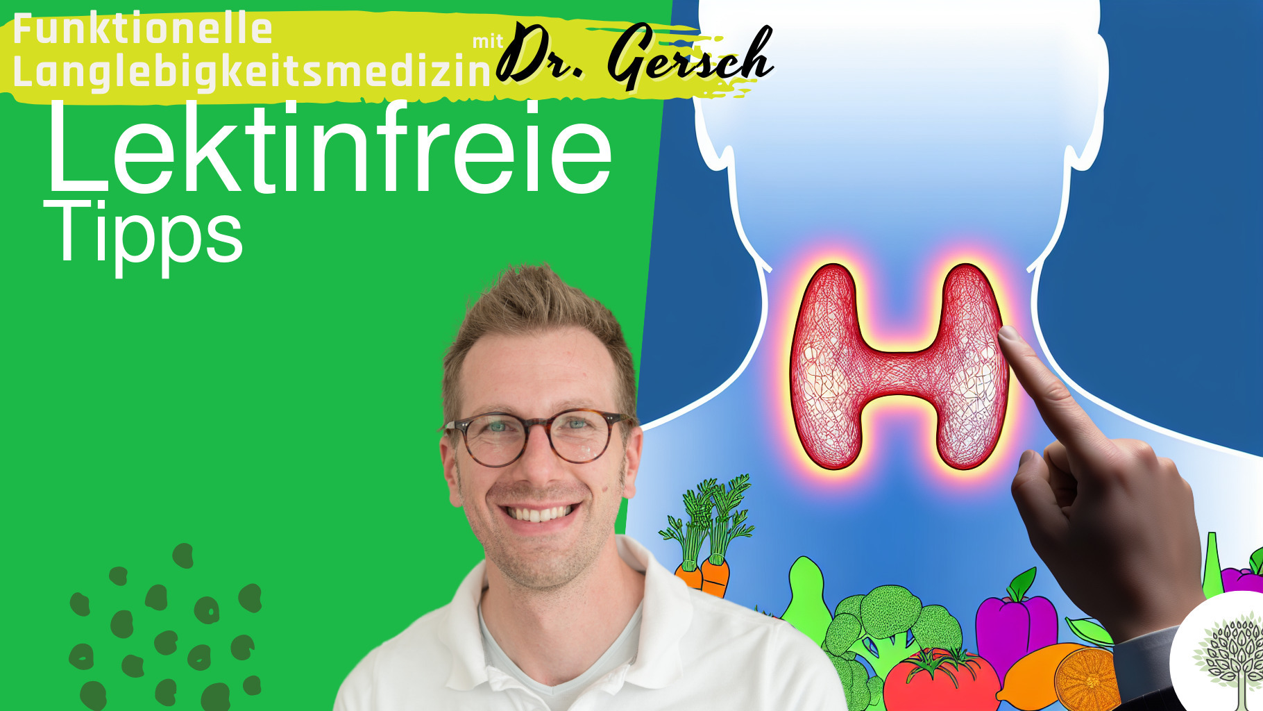 Einnahme von Schilddrüsenhormonen bei lektinfreier Ernährung 