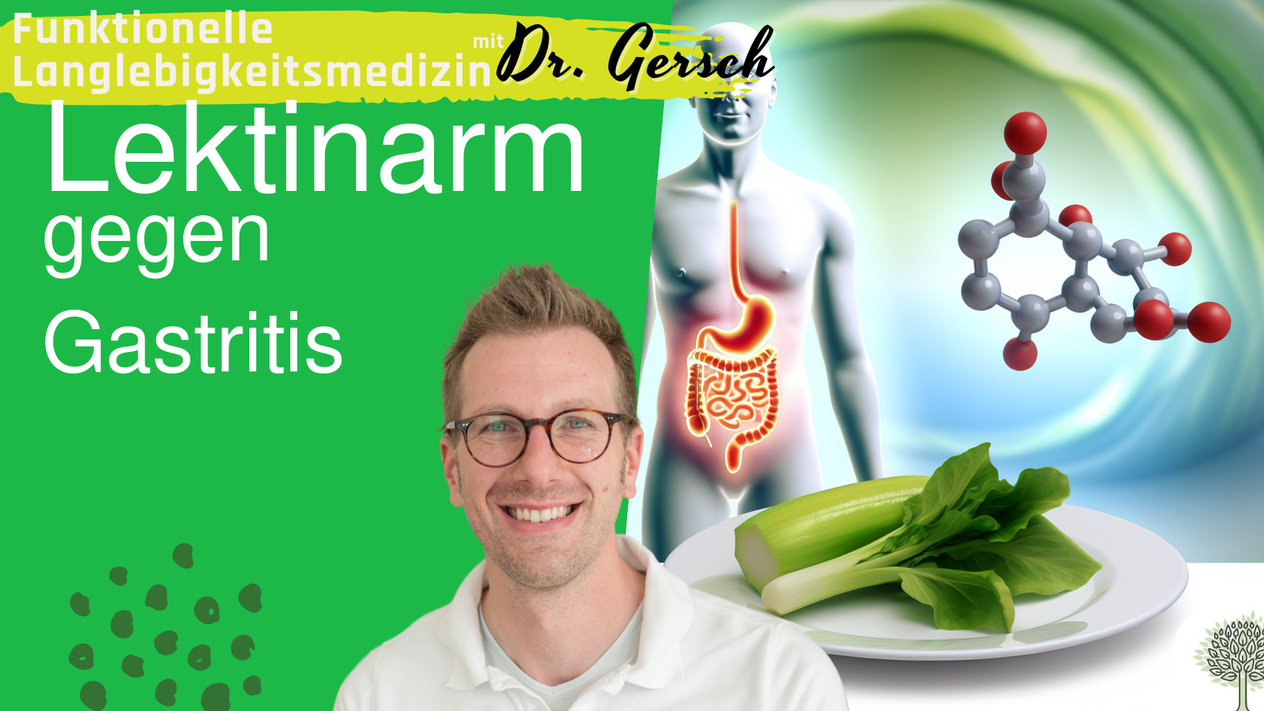 Intrinsic Factor bei Gastritis