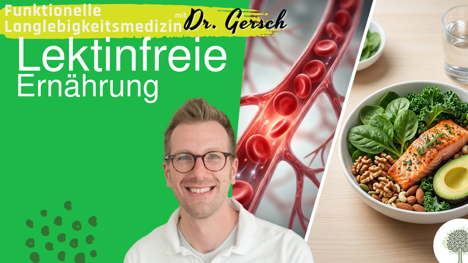 Verbesserung der Verformbarkeit roter Blutk&ouml;rperchen durch lektinfreie Ern&auml;hrung