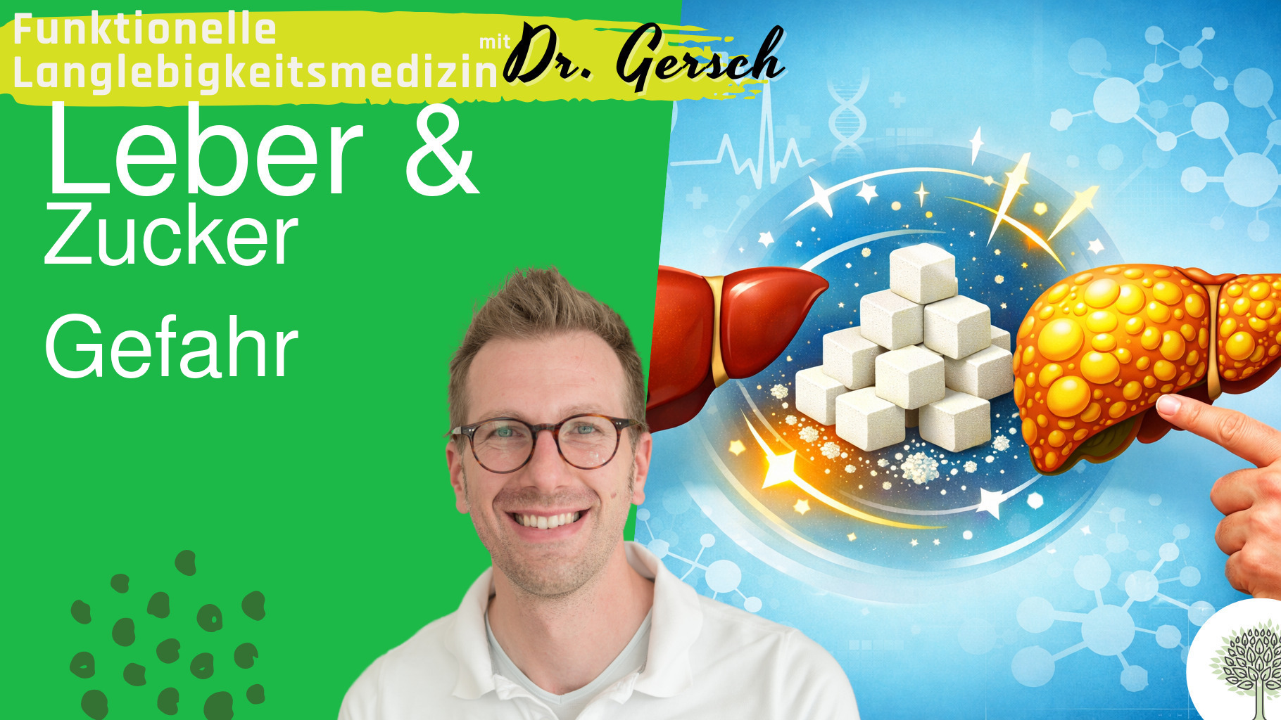 Masterclass Fettleber und Insulinresistenz Teil 1