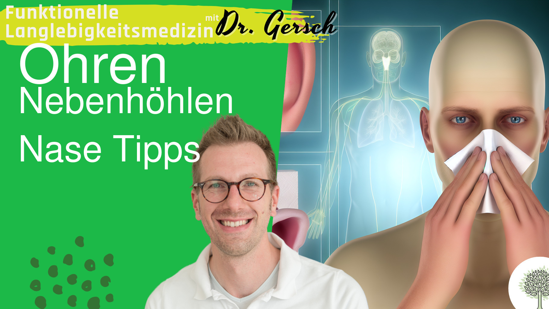 Nase Schn&auml;uzen und die Ohren fallen zu.