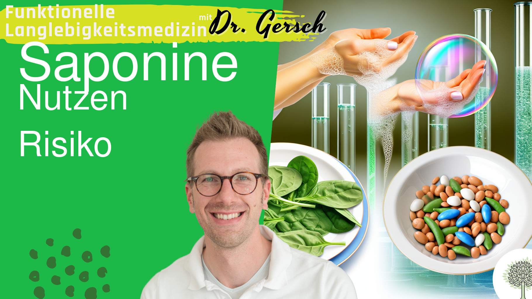 Sind Saponine gesund?  