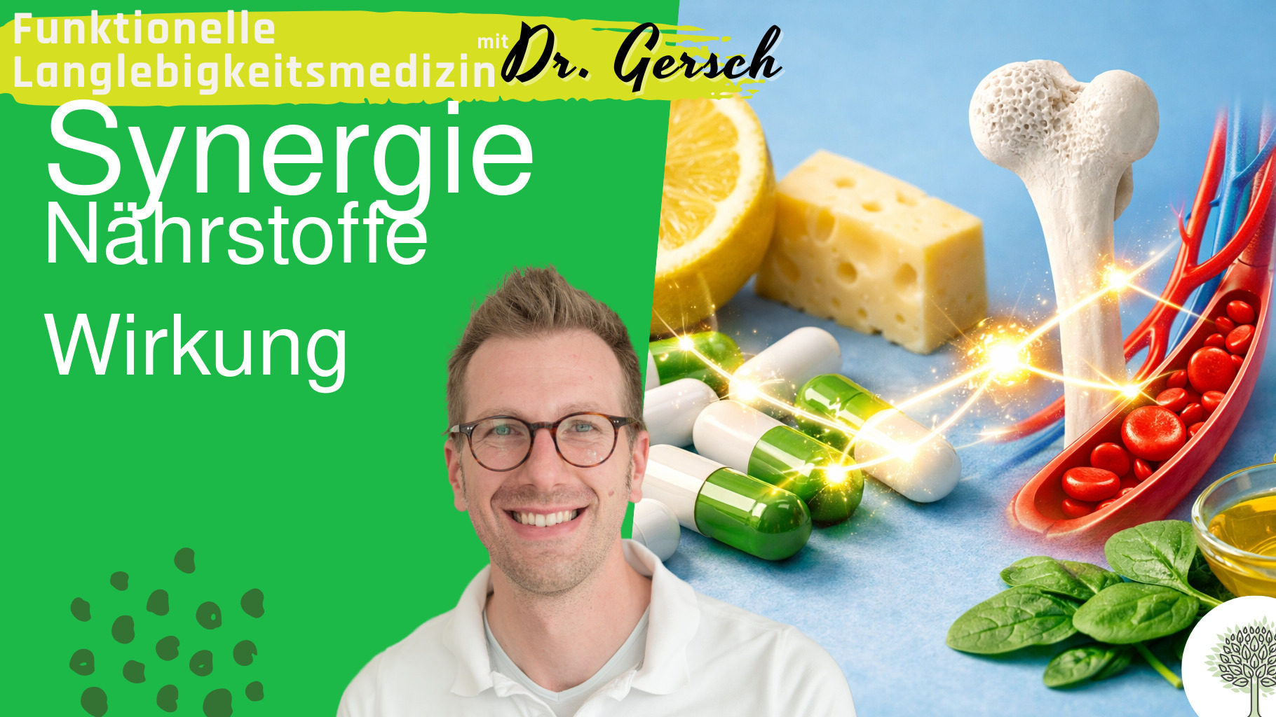 Masterclass Lektion 4 NEM Synergien und Wechselwirkungen