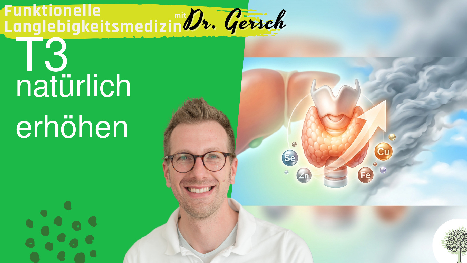 Freies T3 erh&ouml;hen
