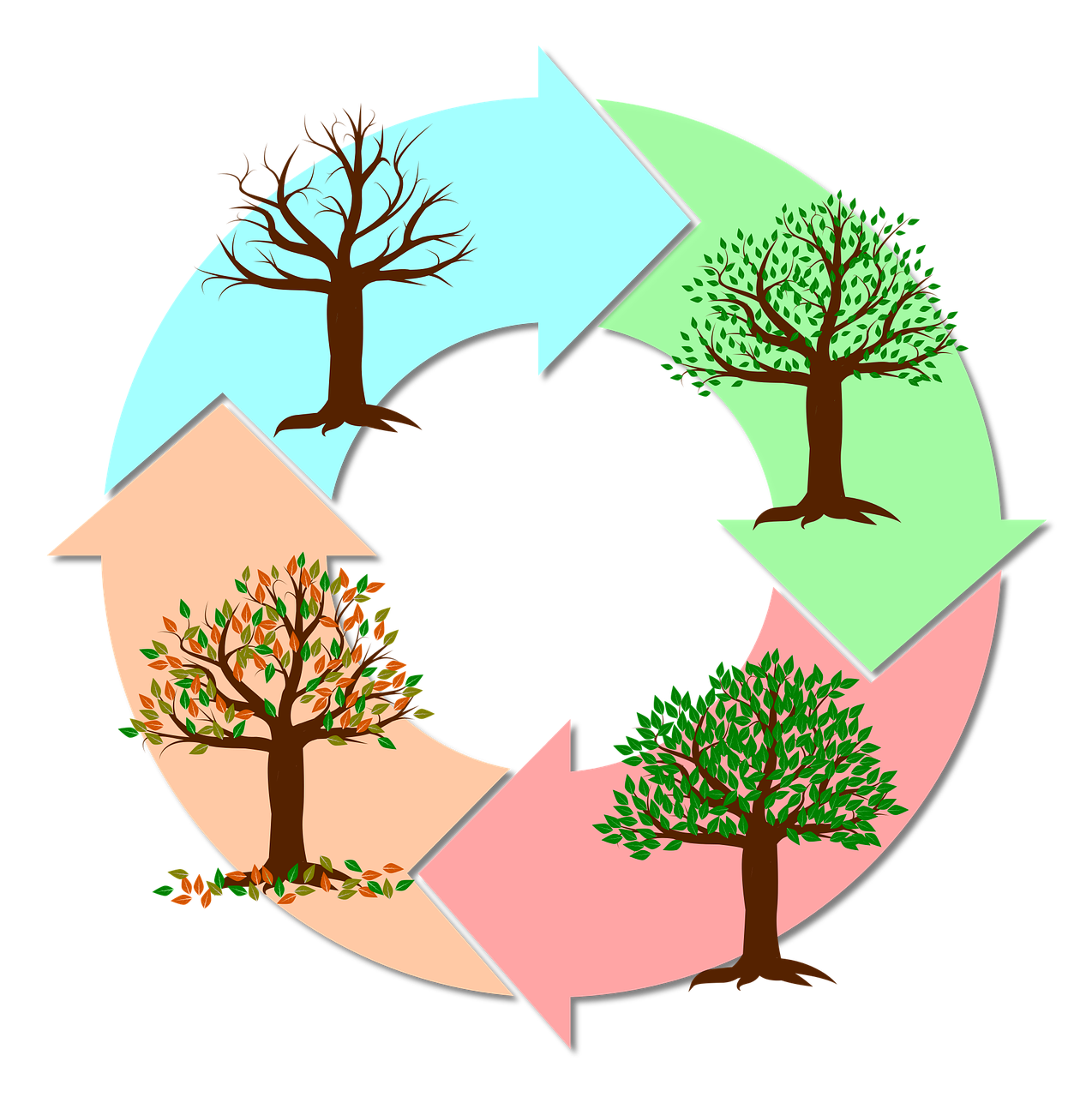 How to get the benefits of calorie restriction through regular fasting